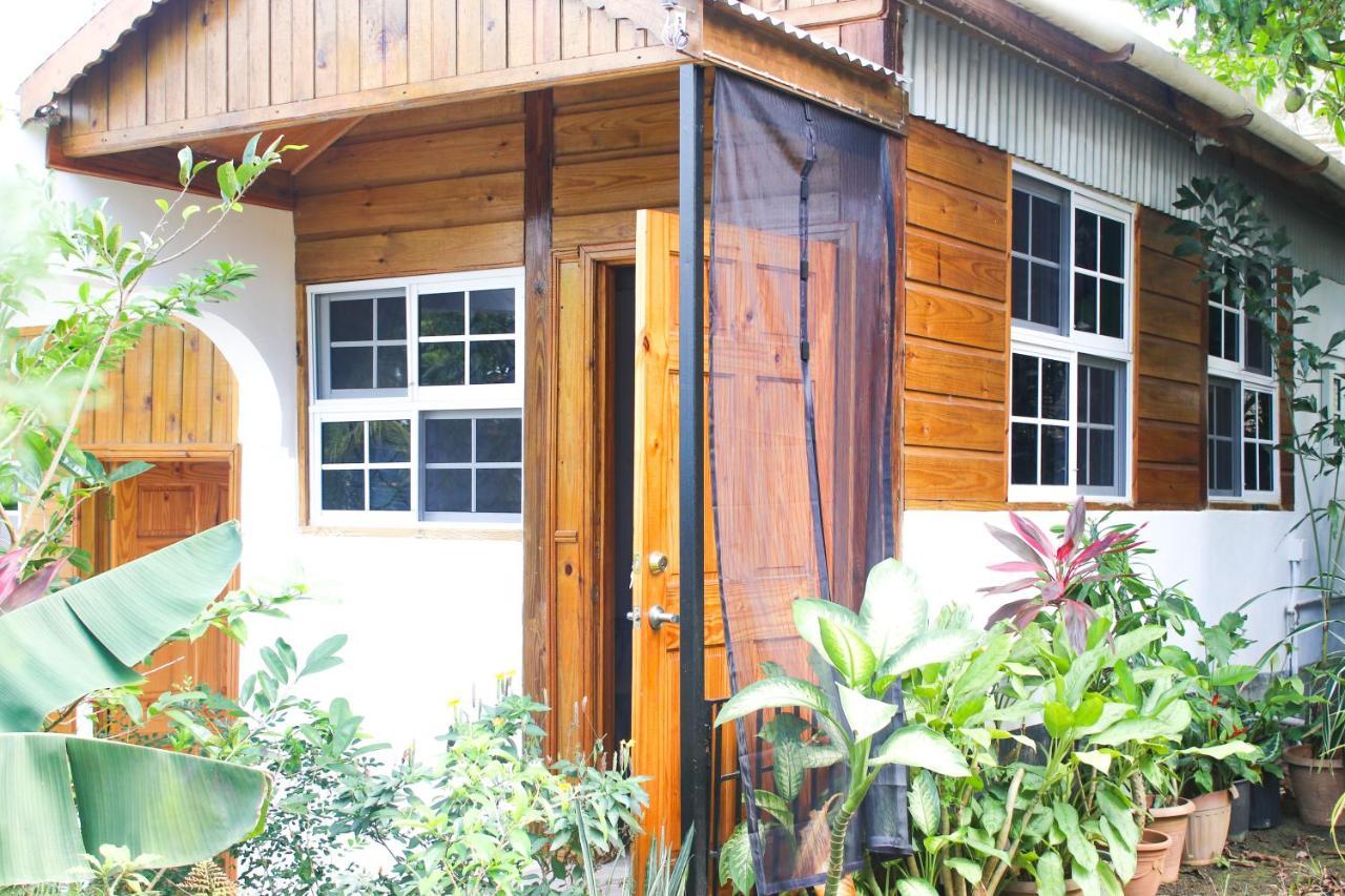 Van Villa Guesthouse Negril Zewnętrze zdjęcie