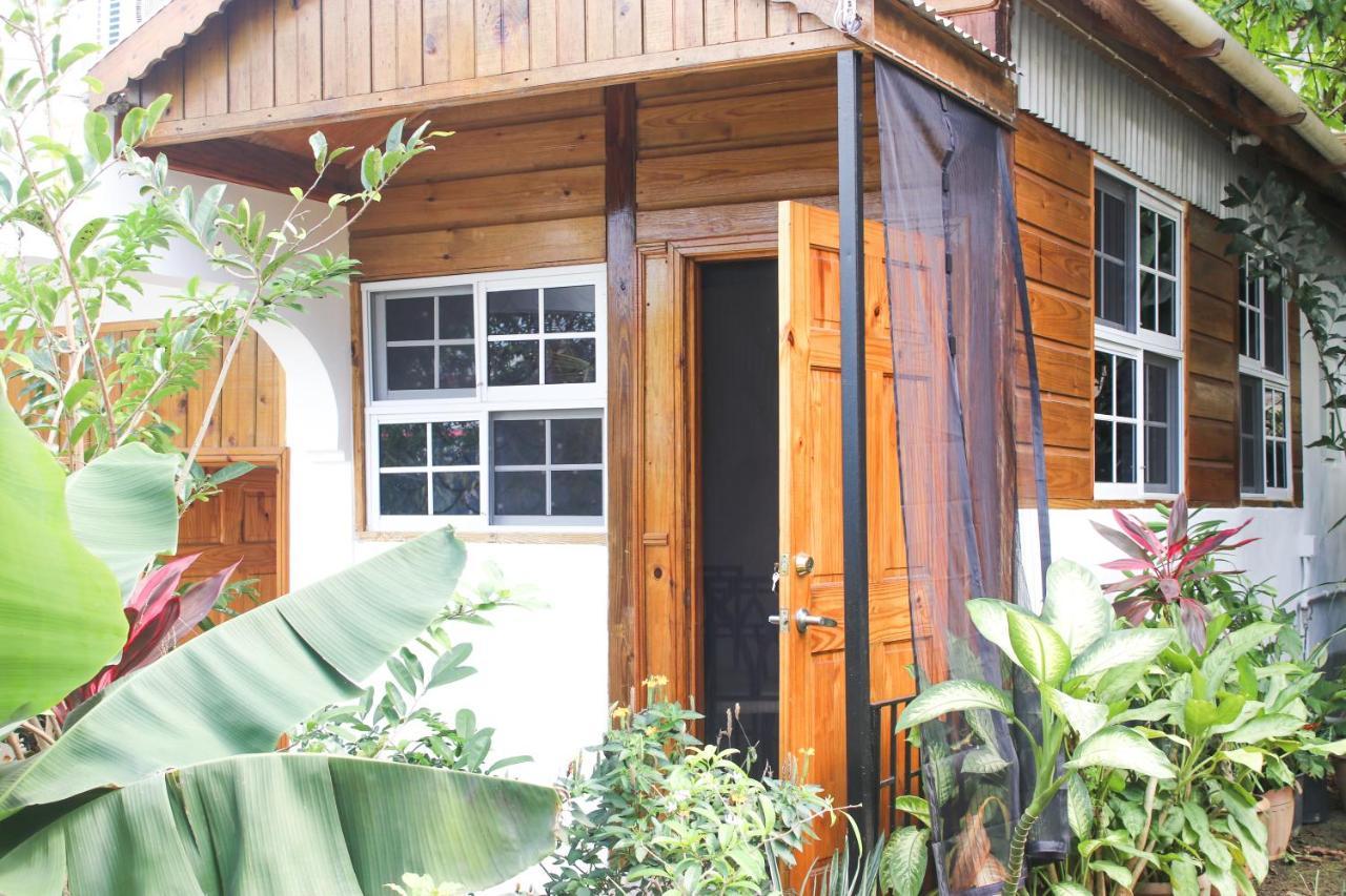 Van Villa Guesthouse Negril Zewnętrze zdjęcie