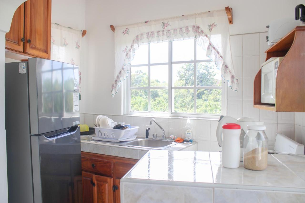 Van Villa Guesthouse Negril Zewnętrze zdjęcie